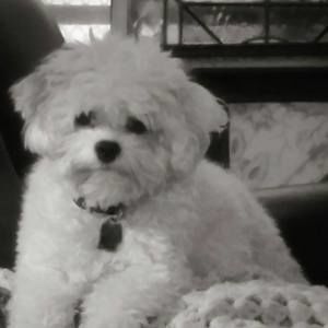 Meet your Posher, Shelly